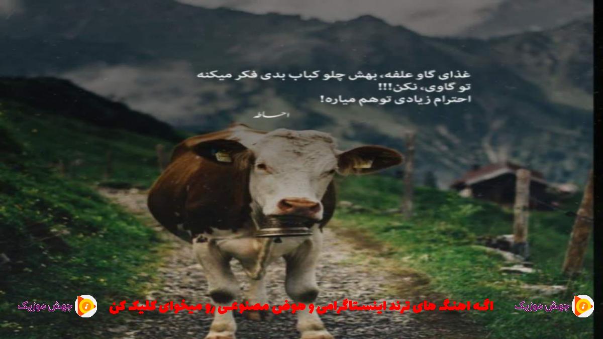 دانلود آهنگ بس که تو ای دل به این در به اون در زدی از مهستی